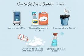 get rid of booklice psocids