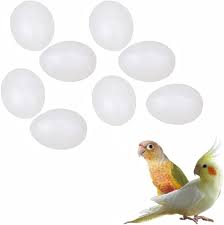 good news solid parrot eggs 8 pieces