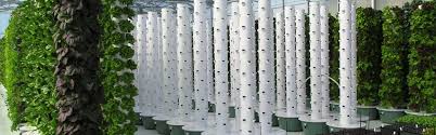 Vertical Aeroponic Farming With Tower Farms