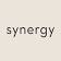 Synergy Face + Body logo