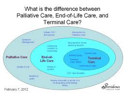 • categorized under health | difference between palliative care and hospice. Palliative Care