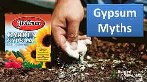 Will Gypsum Improve Clay Soil Garden
