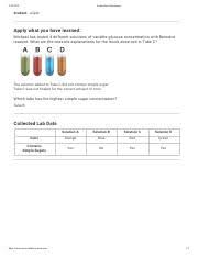 chemical composition of cells test