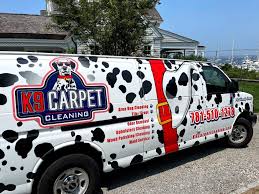 about k9 carpet cleaning