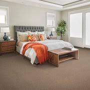 palmetto carpet floor coverings 12