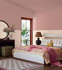 Paint Primers For Home Asian Paints