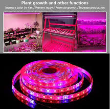 Amazon Com Led Strip Light Topled Light Plant Grow Light With Power Adapter 5050 Smd Waterproof Full Spectrum Red Blue 4 1 Rope Lamp For Aquarium Greenhouse Hydroponic Plant Veg Garden Flowers 5 M