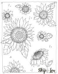 Gambar mewarnai bunga matahari sungguh menarik untuk diwarnai, selain bentuknya yang indah warnanya pun sungguh cantik. 20 Gambar Sketsa Bunga Matahari Untuk Mewarnai Sederhana