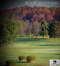 Falcon Head Golf Course in Big Rapids, Michigan | foretee.com