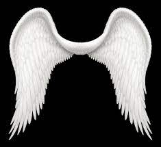 Download, share or upload your own one! 39 911 Angel Wings Stock Photos Images Download Angel Wings Pictures On Depositphotos