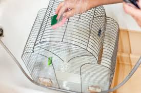 tips for maintaining a clean bird cage