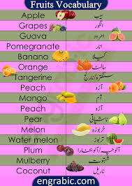 fruits names in urdu and english with