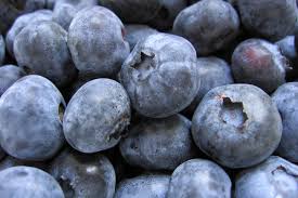 U S Higher Blueberry Volumes Lead To Price Cuts