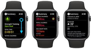 apple watch how to see your workout