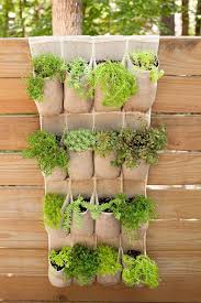 22 Creative Herb Garden Ideas Curbly