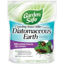 diatomaceous earth 4 lb insect