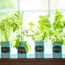 Indoor Window Sill Herb Garden