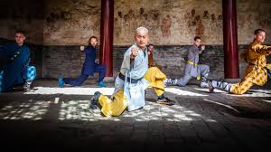 mat shaolin kung fu basics program