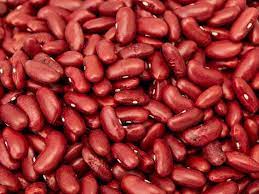 kidney beans 101 nutrition facts and