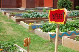 24 fantastic vegetable garden ideas