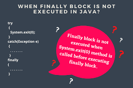 finally block is not executed in java