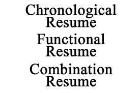 Sample Chronological Resume Template   Free Resumes Tips