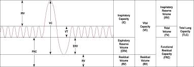 Core Physiology What Can Be Measured By Spirometry Frcem