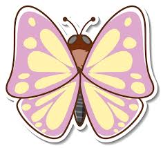 erfly clip art images free