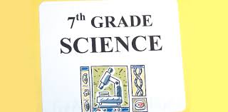 Children this age have a deep sen. 7th Grade Science Quiz Questions And Answers Proprofs Quiz