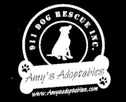 All dogs/pups will be spay/neutered, up to date on age appropriate shots, wormed. 911 Dog Rescue Reviews And Ratings Eastlake Oh Donate Volunteer Review Greatnonprofits