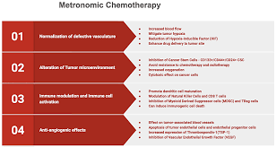 metronomic chemotherapy in cancer