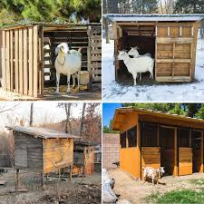 Goat Shelter Diy En Coop Plans
