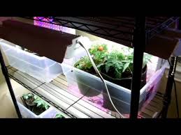 Grow Your Vegetables Indoors During The