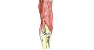 pain behind knee posterior knee pain