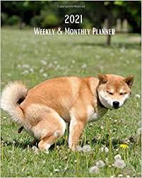 The 24h volume of shib is $33 100 000, while the shiba inu market cap is $13 067 747 600 which ranks it as #13 of all cryptocurrencies. 2021 Weekly And Monthly Planner Shiba Inu Dog Pooping Monthly Calendar With U S Uk Canadian Christian Jewish Muslim Holidays Calendar In Review Notes 8 X 10 In Dogs Animal Nature Book Press Poop 9798571775144 Amazon Com Books