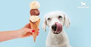 how-do-you-serve-ice-cream-for-dogs