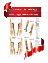 Trigger Points I Ii Chart Bundle Acupuncture Quick Reference Guides