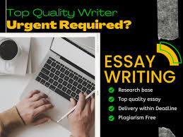 Premium Essay Writing Service for 500-1000 Words. | Upwork