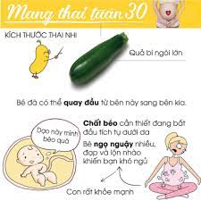Tết ăn gì để không tăng cân - MANG THAI TUẦN 30 CÓ THỂ MẸ CHƯA BIẾT  #halinuts #mebauthongthai #mebau #thongthaidichthuc #mangthaituan30