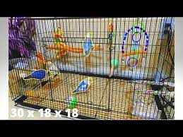 how to set up a lovebird flight cage