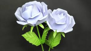 white rose flower idea
