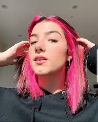 As expected, d'amelio posted a video showing off her pink hair to tiktok and it quickly garnered almost three million likes. Charli D Amelio Hair Color Underneath Hair Inspiration Color Hair Styles