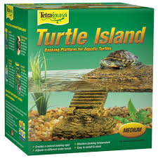 Box turtles are best kept outdoors where they have a lot of roaming area. Tetrafauna Floating Turtle Island Basking Platform Medium Aquatic Turtle Tank Aquatic Turtles Turtle Habitat