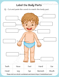 _ is the sense organ that gives us a sense of touch. Label The Body Parts Worksheet Printable Pdf Your Home Teacher