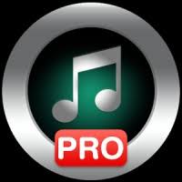 It is an offline audio player without advertisements. Music Player Pro 5 9 Apk Full Paid Download Android