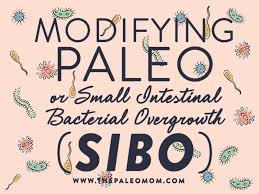 Modifying Your Paleo Diet For Sibo The Paleo Mom