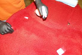 carpet with a simple dye job