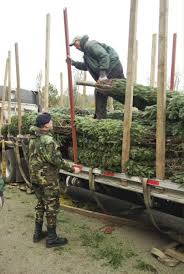 Troops Tree Campaign Starts