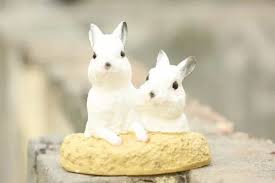 Thedecorshed Rabbits From Hole For