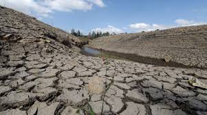 Image result for drought in kenya